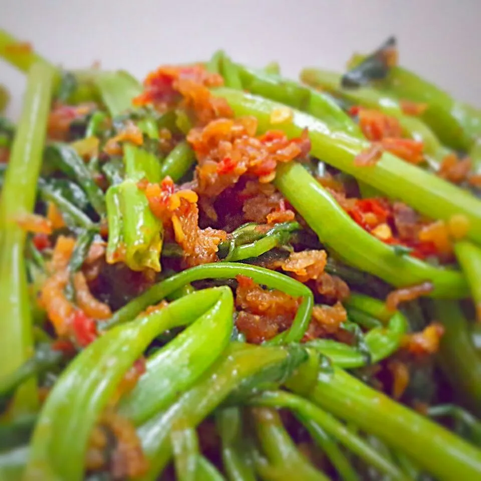 sambal kang kong for dinner|Chua Jeanさん