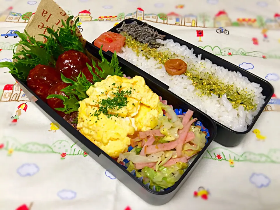 Snapdishの料理写真:☆本日のパパ弁当☆|scandimikanさん