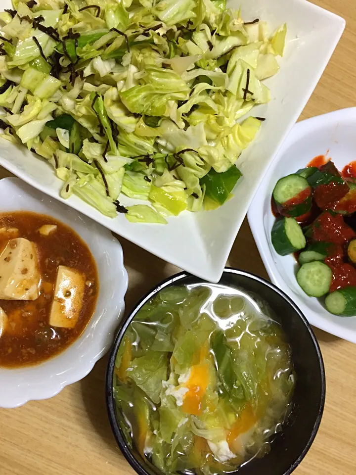 野菜たぷりー食べたーい！＼(^o^)／|CASSHERNさん