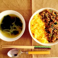 Snapdishの料理写真:2色そぼろ丼|rihoさん