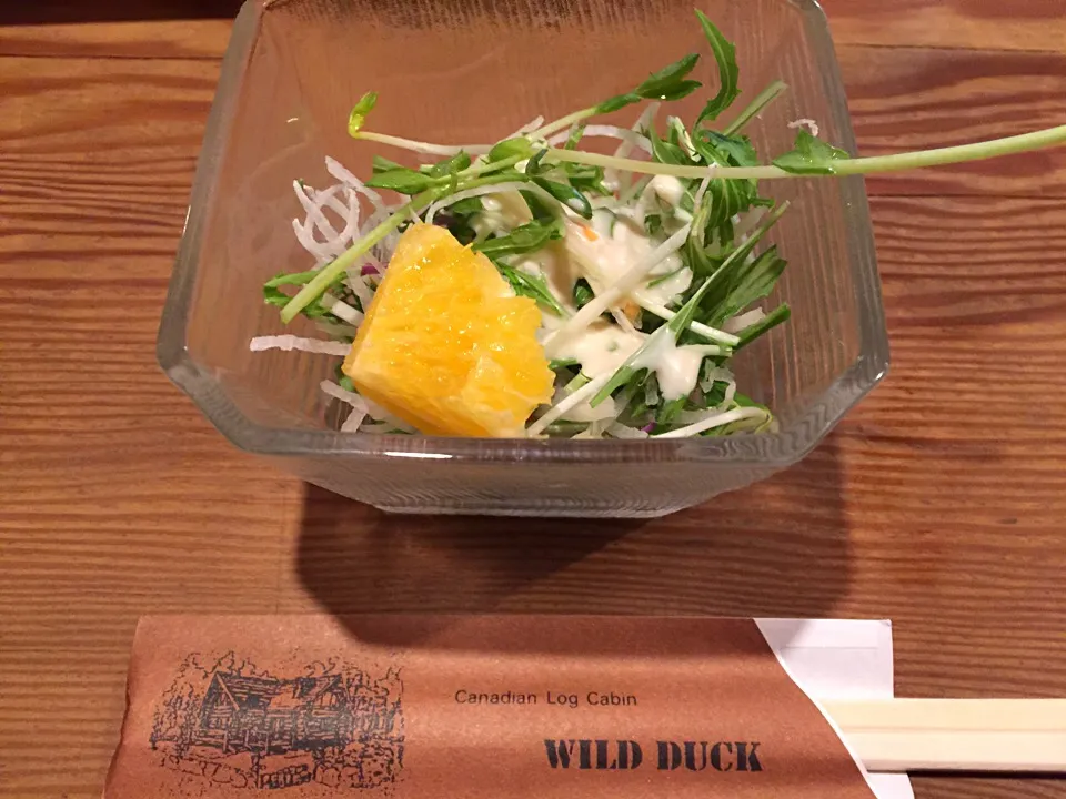 小さな森の喫茶店 WILD DUCK  パイ釜焼きスープ付きスペシャルランチのサラダ|うえのぶさん