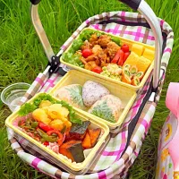 お花見弁当|めぐさん