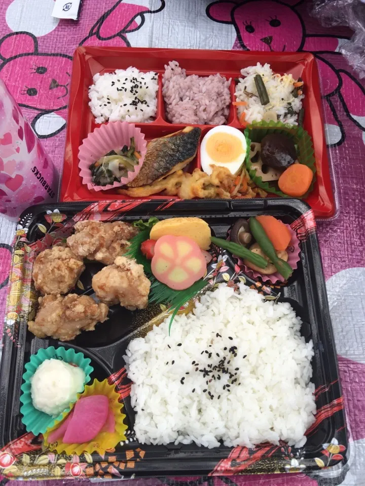 お花見で食べたお弁当|しんいっちゃんさん