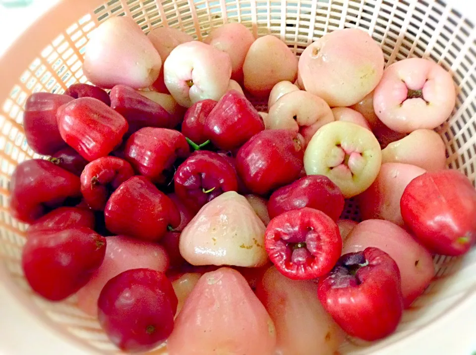 PhiLiPPiNe PiNk MaKoPaS|GeMzKiTchさん