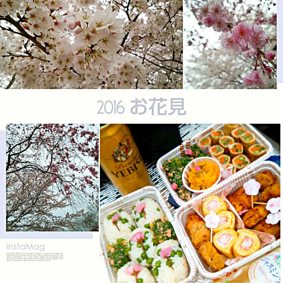 お花見弁当🌸2016|めぐチー🌿さん