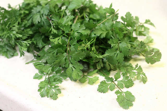 保存版 パクチーだれ を使ったおすすめ料理レシピセレクト 1ページ Snapdish スナップディッシュ