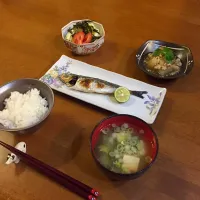 Snapdishの料理写真:|たまちゃんさん