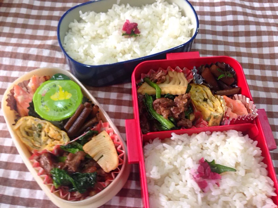 4月5日 今日は快晴弁当|sakuramochiさん