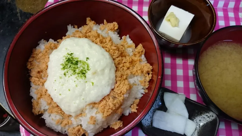 鮭フレークととろろ丼|かいさん