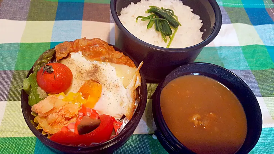 お弁当。ハンバーグ目玉焼きチーズとアスパラバターと明太子ポテトとマリネとチキンカレー。もちろんご飯はぎゅーぎゅー(ノ)・ω・(ヾ)|エリカさん