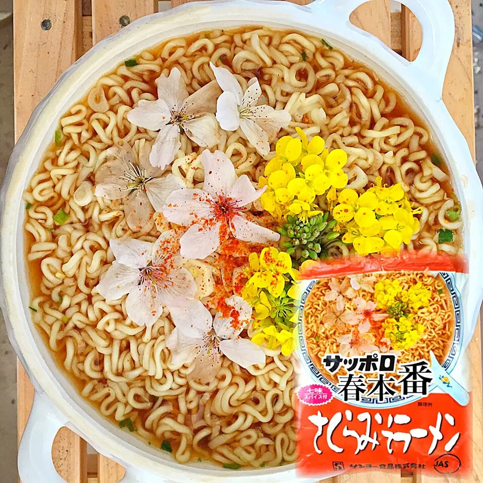 春本番さくらみそラーメン|ち〜おんさん