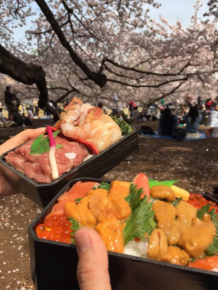 お花見弁当|あっきーよさん