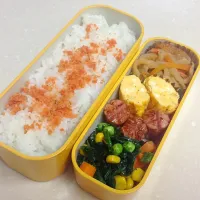 Snapdishの料理写真:04.07 旦那弁当|みーさん