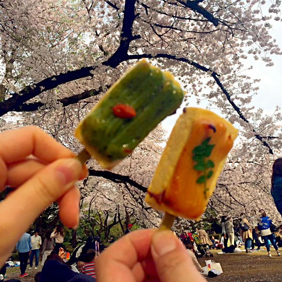 桜と田楽😋|お母の大皿さん