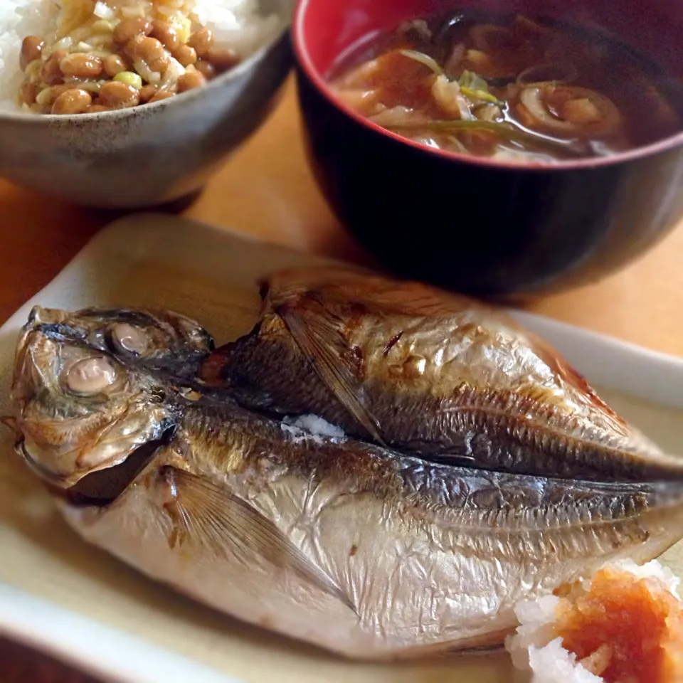 やっぱり美味いなぁ〜鯵の開き🐟納豆御飯に春キャベツと油揚げの御御御付け♫日本人で良かった*･゜ﾟ･*:.｡..｡.:*･'(*ﾟ▽ﾟ*)'･*:.｡. .｡.:*･゜ﾟ･*|こなちゅんさん