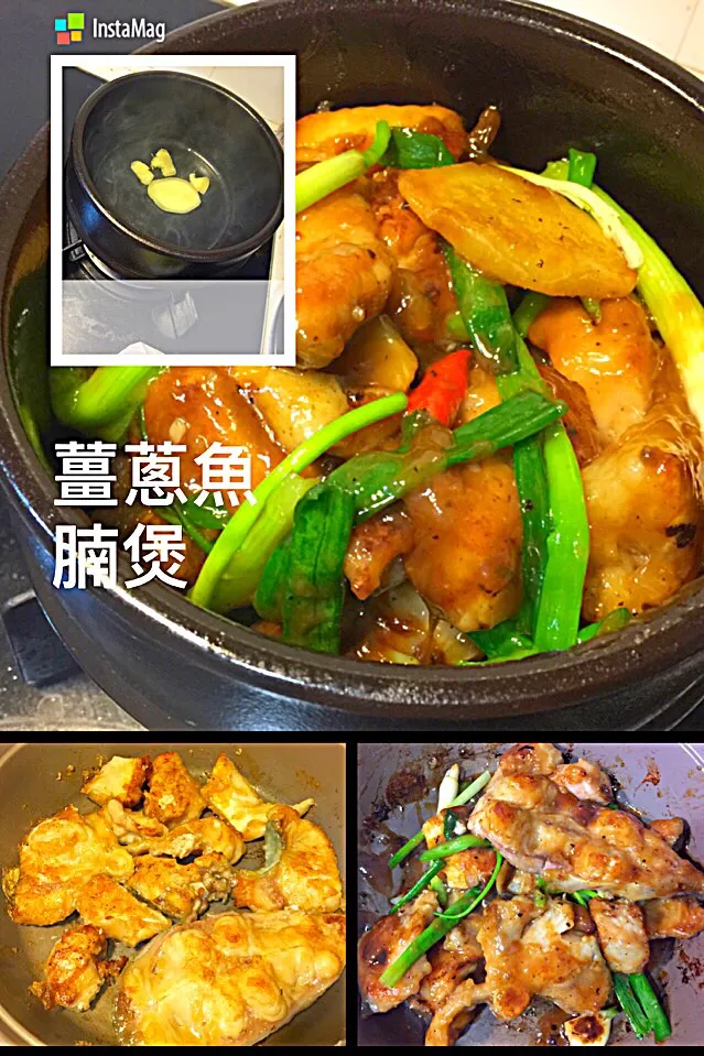 香港料理•薑蔥魚腩煲 ねぎと生姜入フィッシュ鍋 薑蔥魚腩煲  Fish with Ginger and Green Onions pot|Cloeyさん