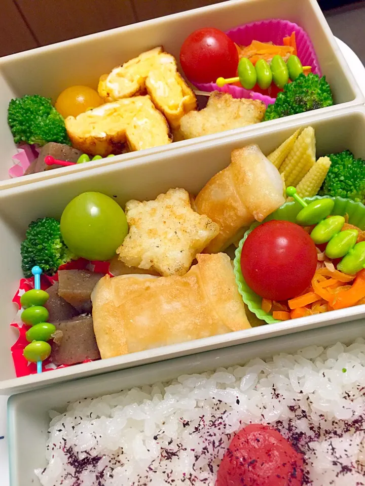 Snapdishの料理写真:新学期、まだまだお弁当。
アレルギーある子には、春巻き風。米粉の餃子の皮を使用。|アンデルセンさん