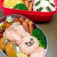 Snapdishの料理写真:来週から幼稚園頑張れ！うさぎさん弁当|acha618さん