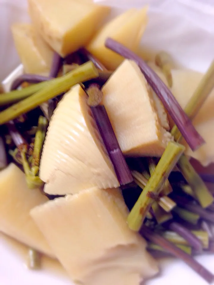 筍とうどの煮物🍴|しのてらさん