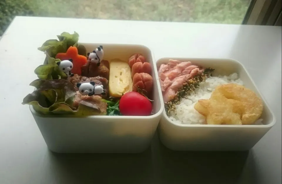 今日のお弁当|しじみ（zishichan）さん