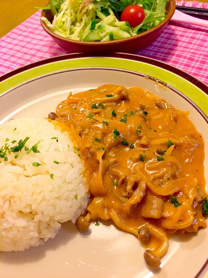 ポークストロガノフで夕食🍚|かずみさん