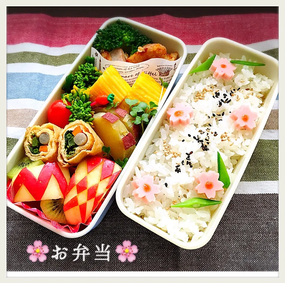 Snapdishの料理写真:長女のお弁当🌸|ayakoiymさん