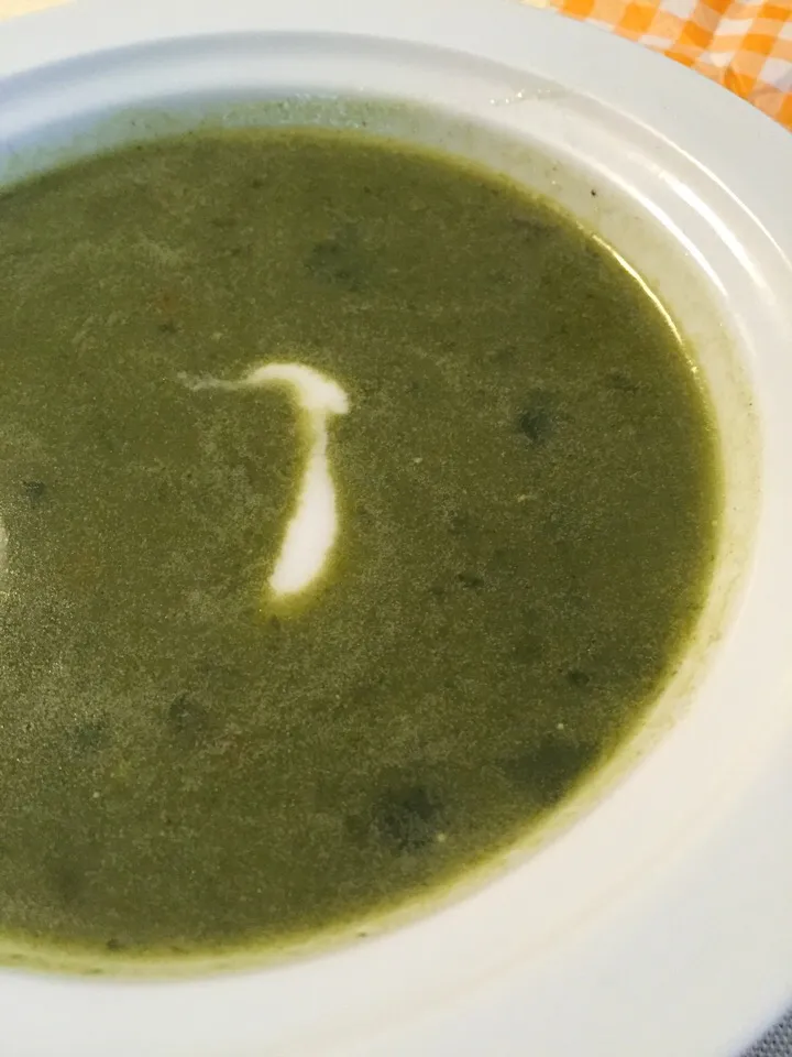 Snapdishの料理写真:Creamy spinach soup🇷🇸|aястасияさん