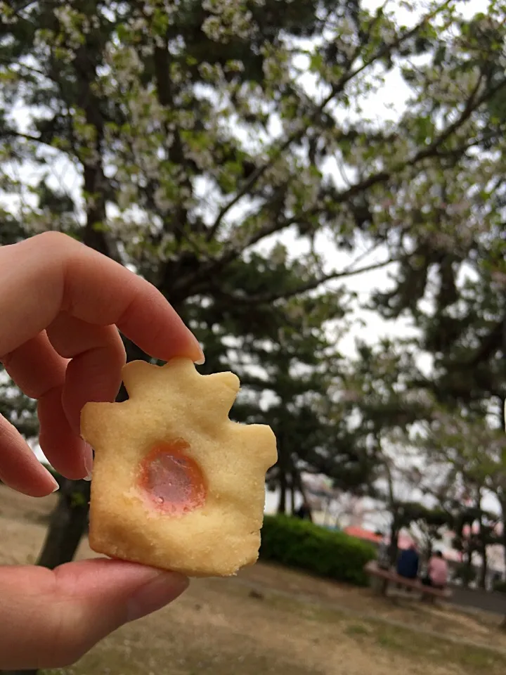 Snapdishの料理写真:ステンドグラスクッキー♡|ちぇりさん