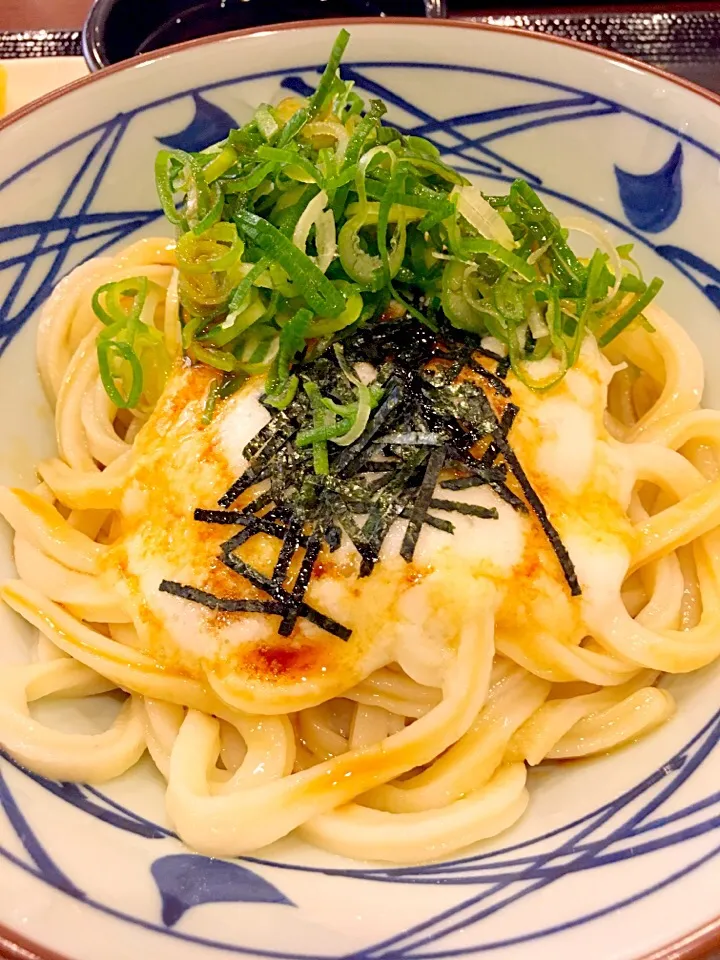 Snapdishの料理写真:とろろ醤油うどん|ラビさん