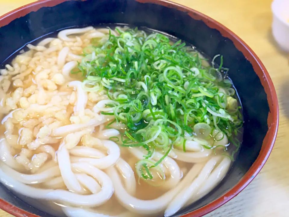 牧のうどん|yzさん