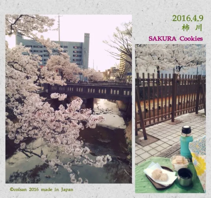 Snapdishの料理写真:桜クッキーと桜茶|こいさんさん