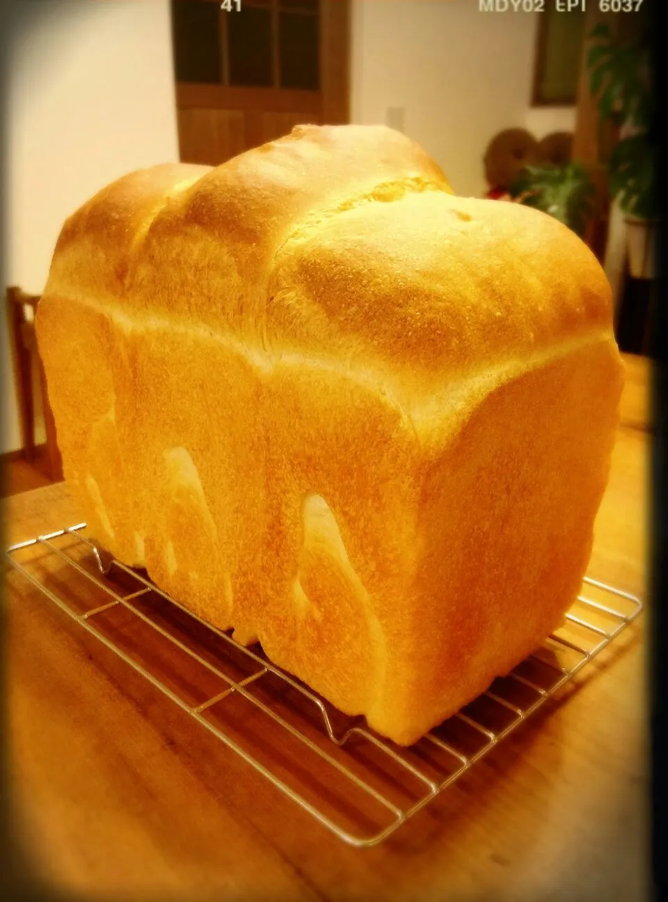 ノッポな山食パン～(´∇｀)|きみちさん