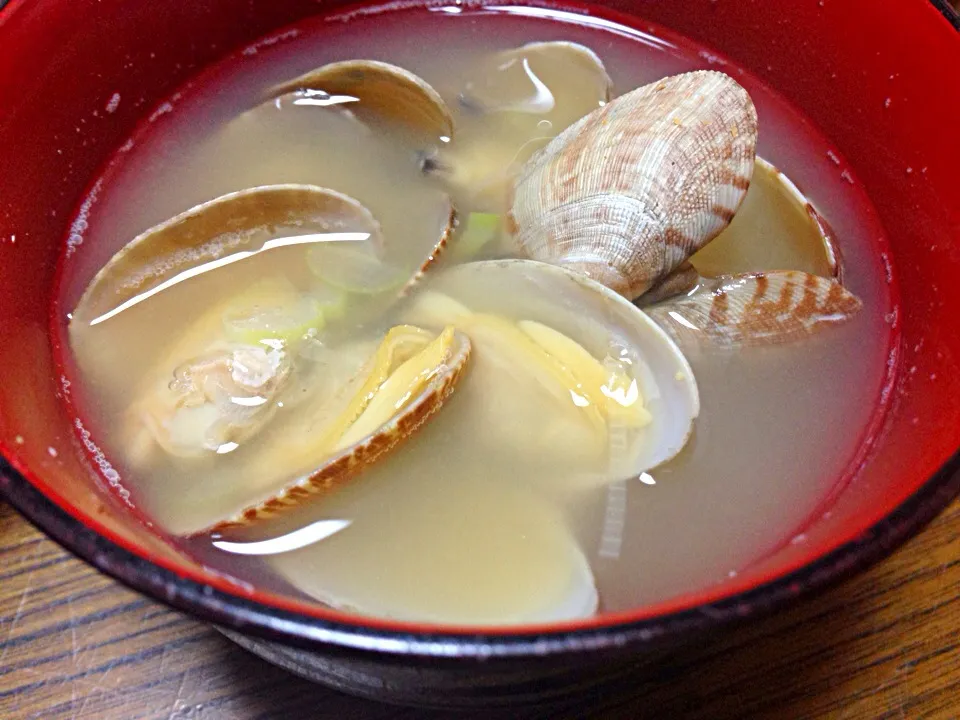 Today's dinner あさり味噌汁|viviさん