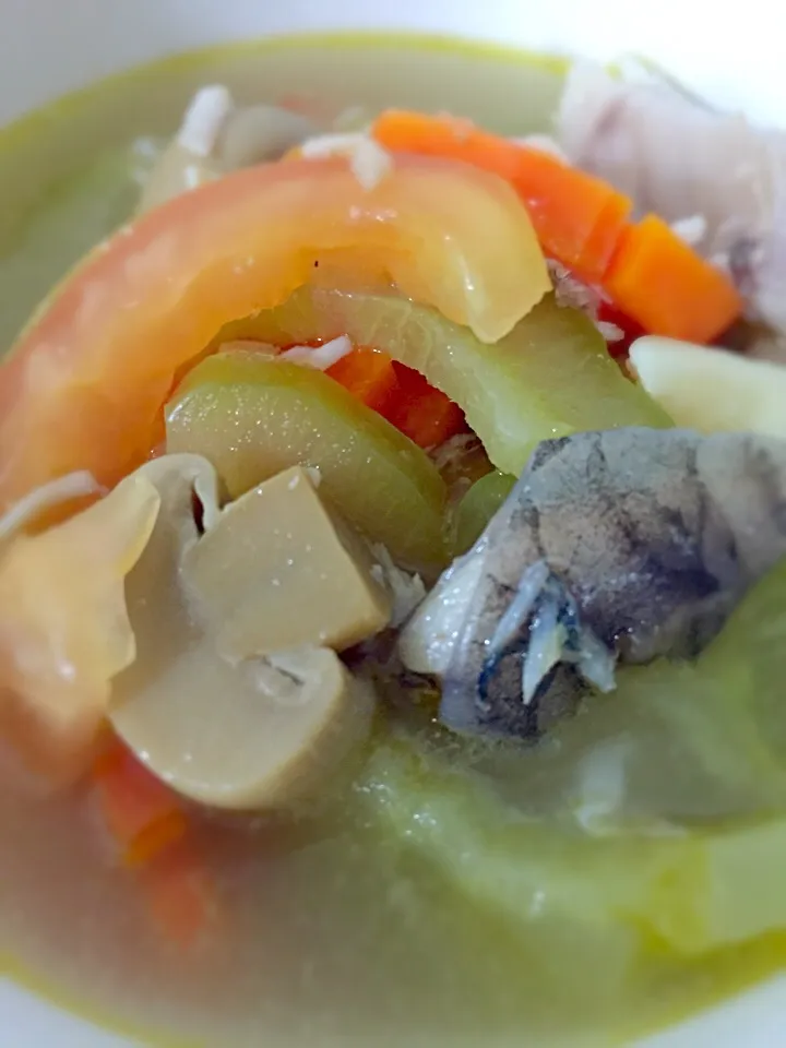 Snapdishの料理写真:🐟Bitter-guard Fish Soup🐟|Tari's Kitchenさん