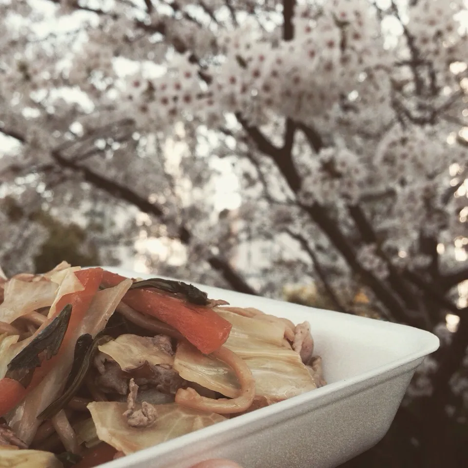 🌸花より焼きそば🌸|Imanaka Yukikoさん