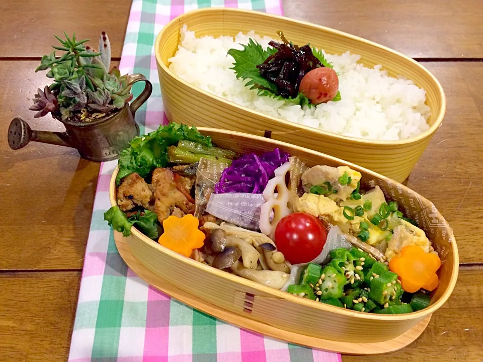 旦那様お弁当|thmsさん