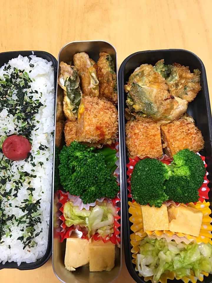 Snapdishの料理写真:ポークピカタ ライスコロッケ ブロッコリー たまご焼き キャベツ浅漬け弁当。|Kumiko Kimuraさん