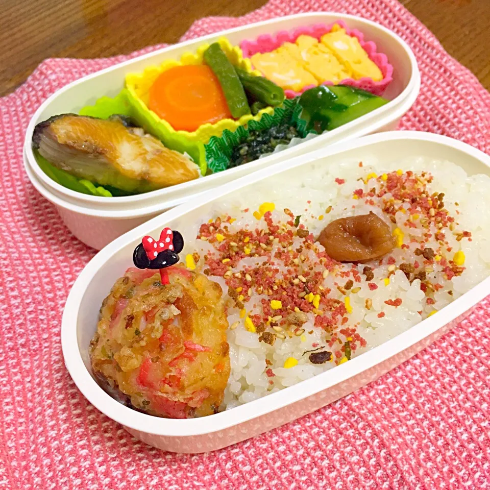 お魚と色々弁当|wanaminさん