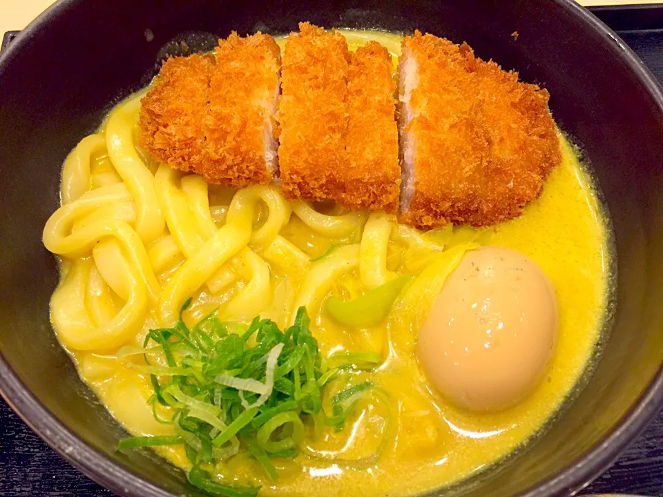 カレーうどん、かつ乗せ&味玉|なめろうさん