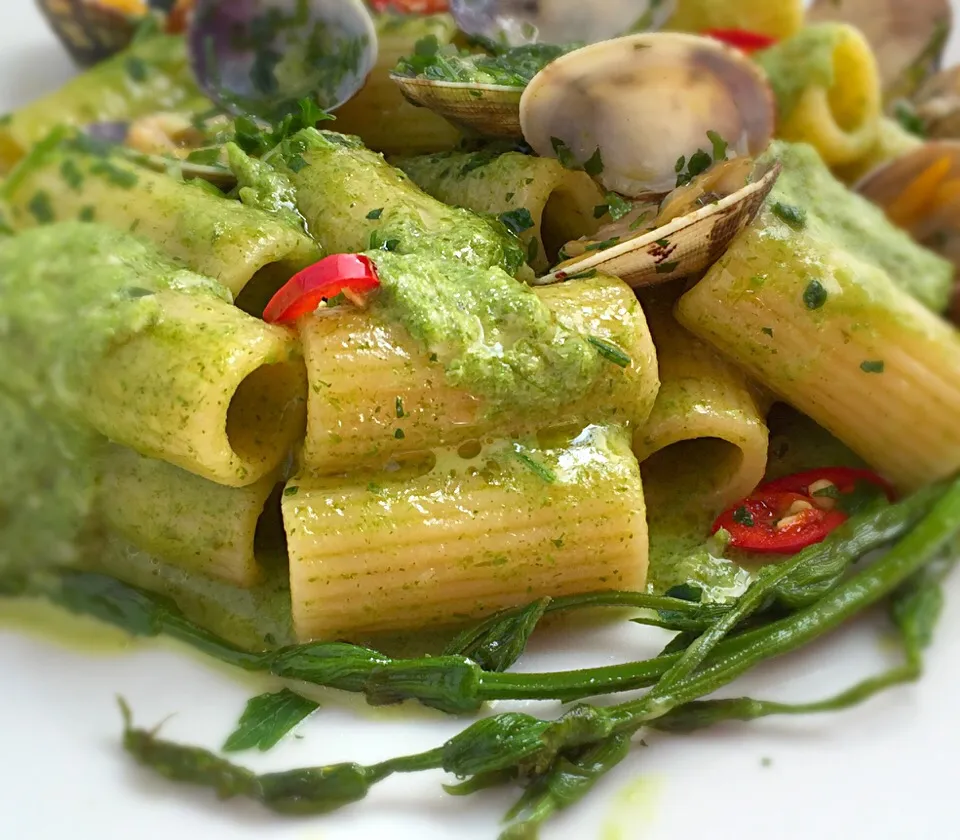 Mezzi Rigatoni with Clams and Hop Shoots puree|laura giardinaさん