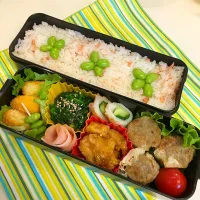 男子高校生のお弁当 #鮭フレークと枝豆で春っぽく #隙間を埋めるのが大変(涙) #３日連続シューマイ（；^ω^）|puffyさん