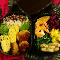 Snapdishの料理写真:今日のお弁当。|mykingさん