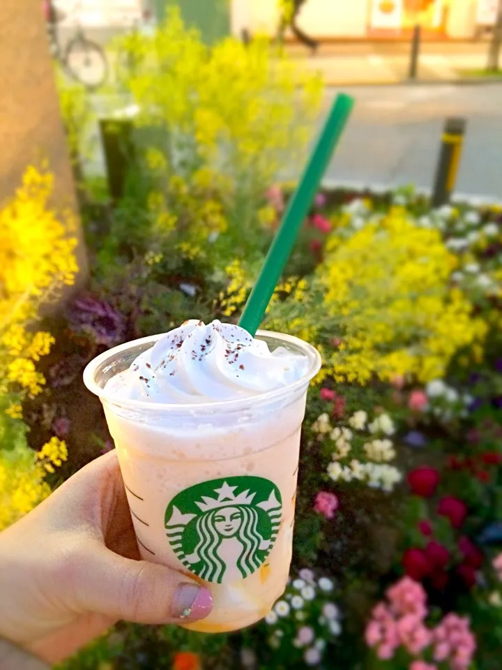 スタバのカンタロープメロン&クリームフラペチーノ😋|ジヌ美さん