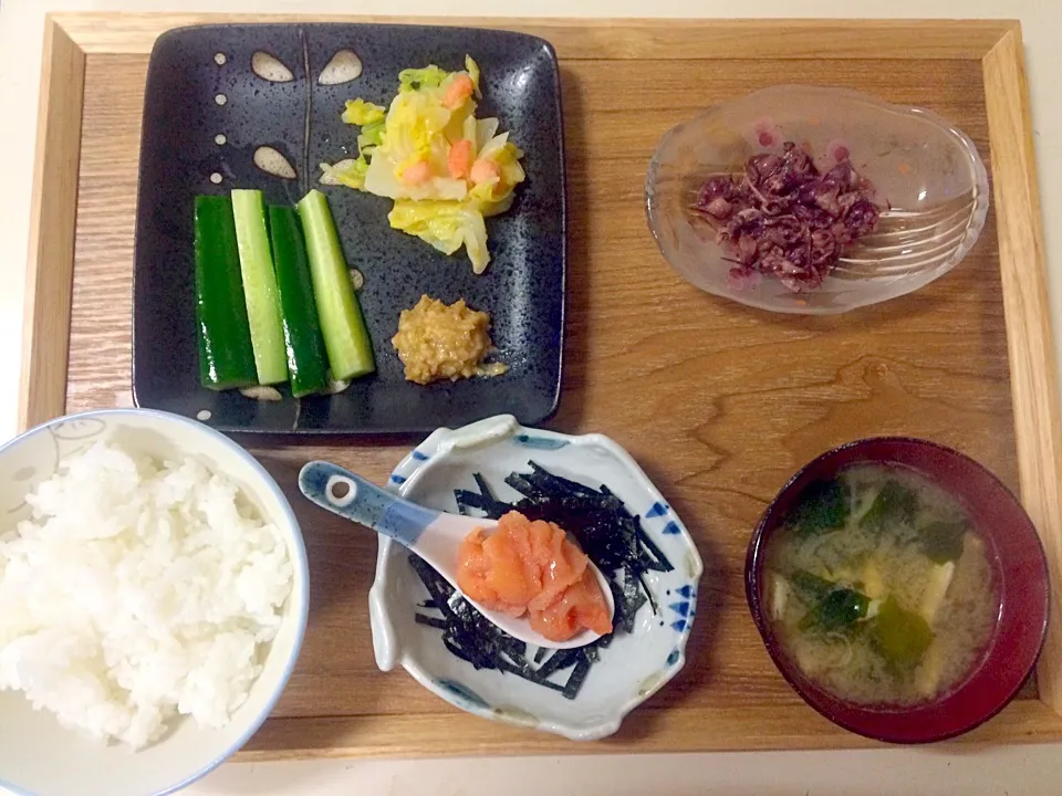 Snapdishの料理写真:肉味噌きゅうり、キャベツ明太エビマヨあえ、ホタルイカバター炒め （子供）明太子ご飯|ちゃこさん