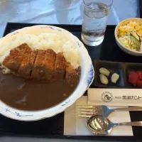 Snapdishの料理写真:カツカレー辛口|小西洋平さん