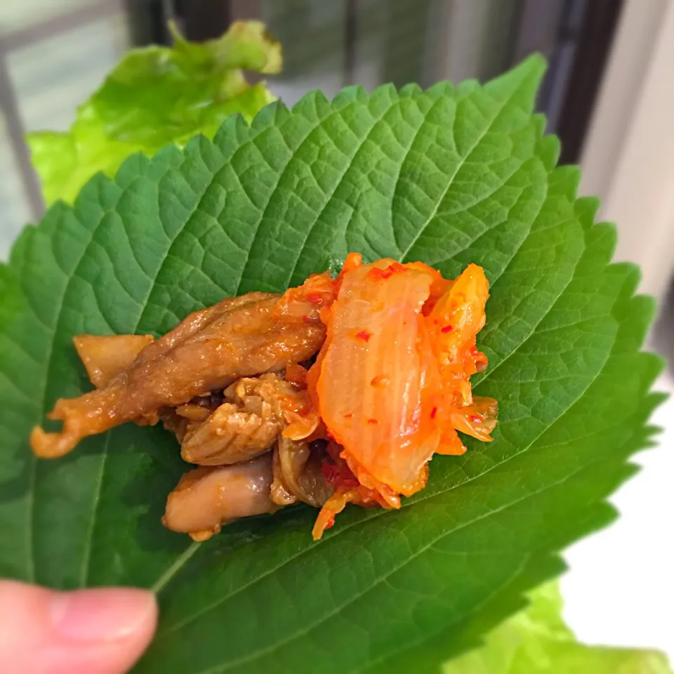 Snapdishの料理写真:味噌焼き鶏せせり❤️エゴマの葉でサムサムして😋|ヨッチャンさん