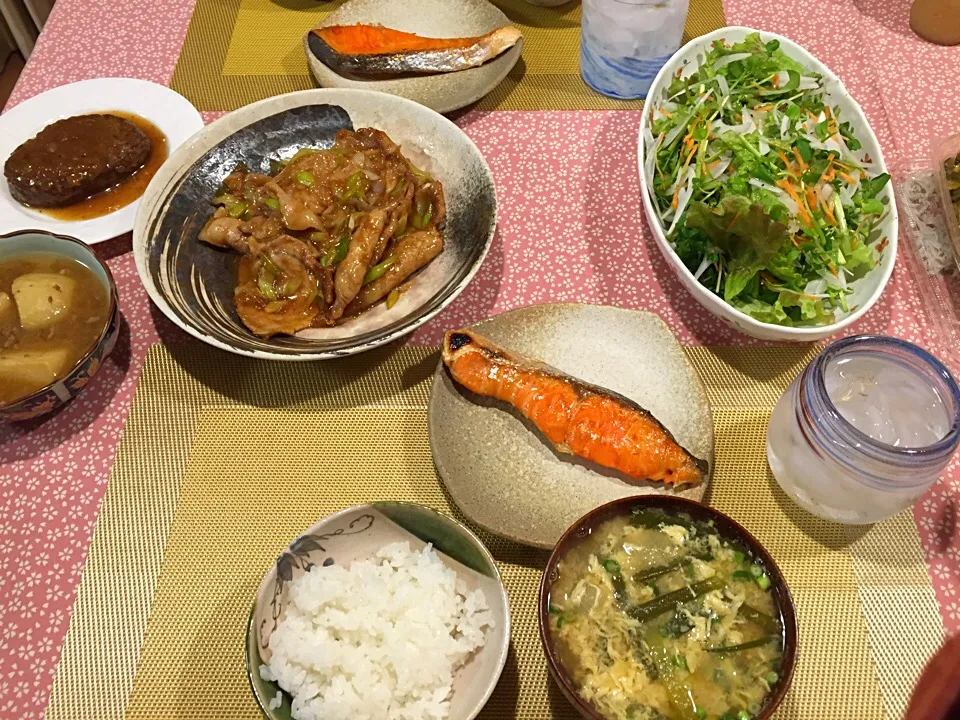 塩鮭、豚の生姜焼き、肉じゃが、ハンバーグ、サラダ、お味噌汁|amiさん