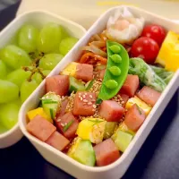 次女のワクワク遠足弁当  スパムちらし〜〜💗