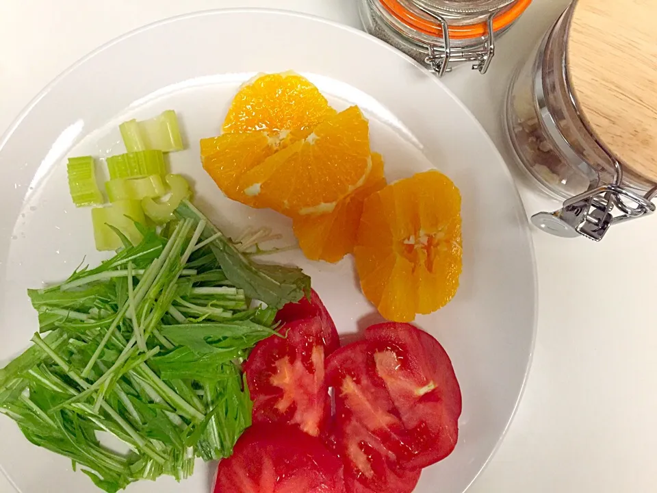 Snapdishの料理写真:Today's smoothie.
トマト、水菜、セロリ、オレンジ|chiikoさん