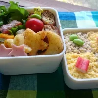 Snapdishの料理写真:今日のお弁当|しじみ（zishichan）さん